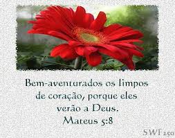 Ver a Deus