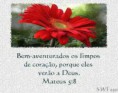 Ver a Deus